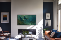 Pelicans Diving Cerulean Shallows